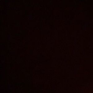 Meet your Posher, Cheyenne